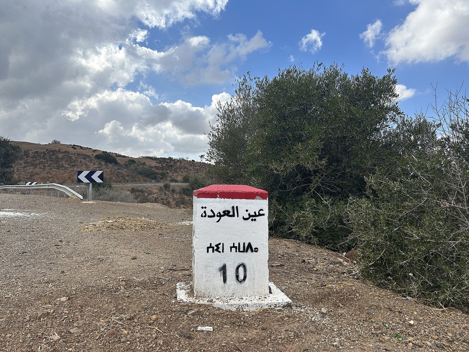 جدار صخري صحراوي داكن محفورٌ بزرافاتٍ شاحبة كبيرة وبينها صفوفٌ من حروف تيفيناغ القديمة